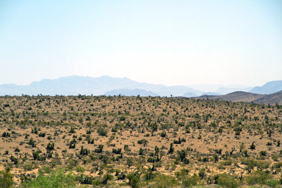 Landscape desert mojave desert photo