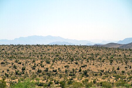 Landscape desert mojave desert photo