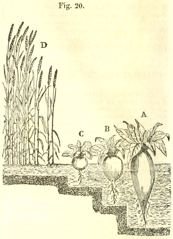 Maison rustique du XIXe siècle, éd. Bixio, 1844, I (page 22) - Fig 20