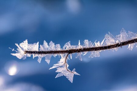 Cold ice crystals