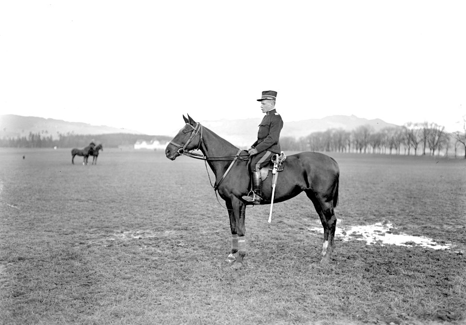 Major Simon zu Pferd - CH-BAR - 3237943