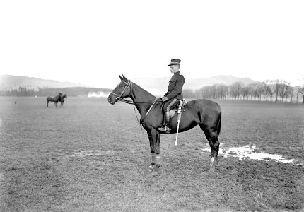 Major Simon zu Pferd - CH-BAR - 3237943