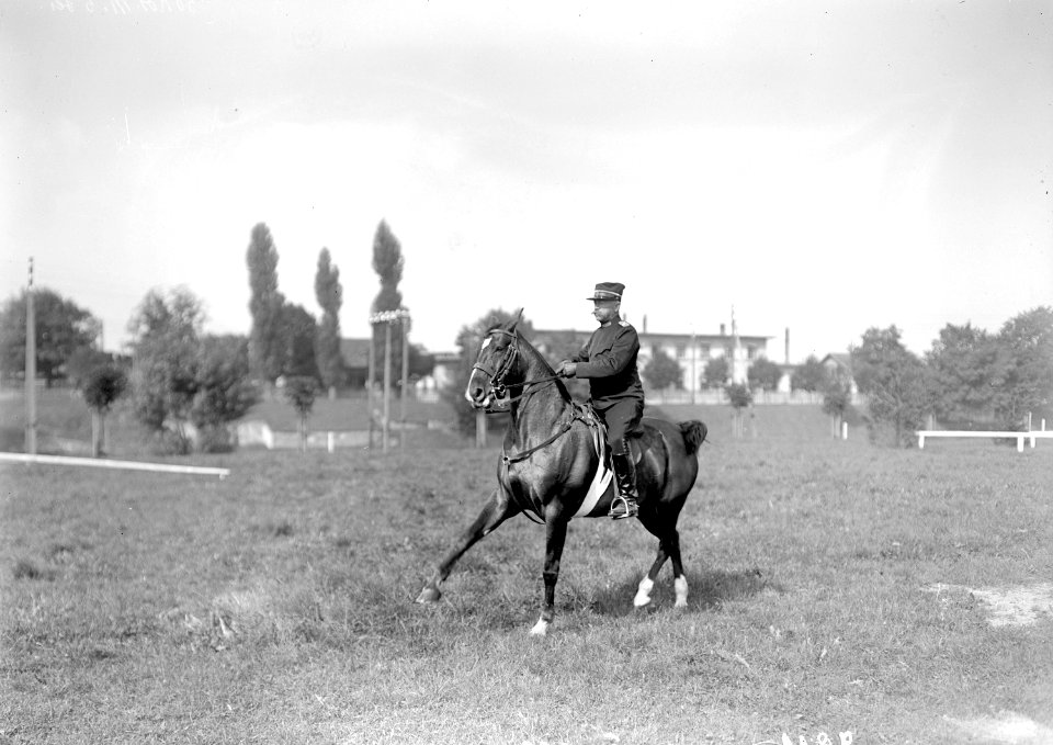 Major Schwendimann bei Pferdedressur - CH-BAR - 3238975