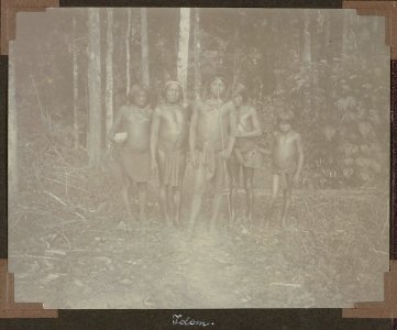 Majoli 4