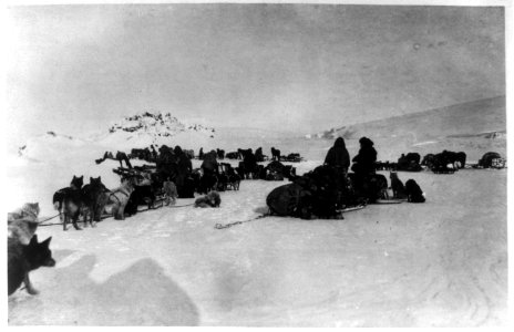 Making camp in Collinson's fjord; the William Zeigler expedition, 1903-1905 LCCN2002736397
