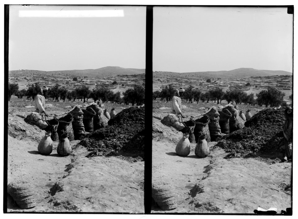 Making gunpowder at Beit Jibrin. Obtaining liquid for gunpowder LOC matpc.01405