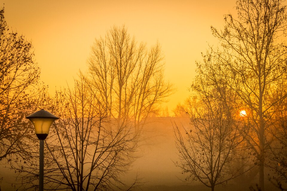 Light orange light foggy