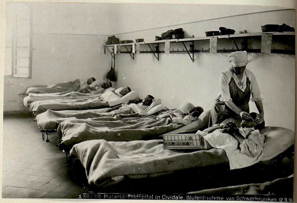 Malaria-Feldspital in Cividale, Blutentnahme von Schwerkranken (BildID 15624015)