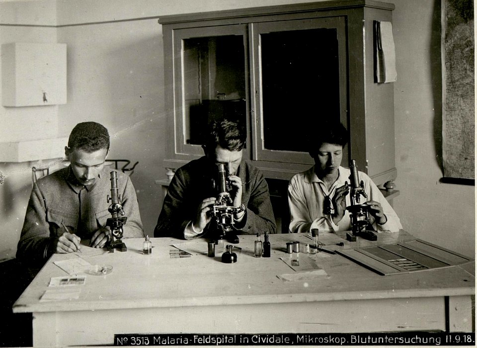 Malaria-Feldspital in Cividale, Mikroskop.Blutuntersuchung (BildID 15623994)