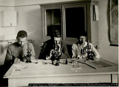 Malaria-Feldspital in Cividale, Mikroskop.Blutuntersuchung (BildID 15623994)