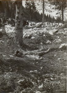 Malga Lora. Ein gefallener Italiener. (BildID 15643137)