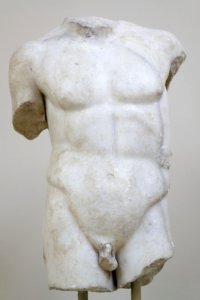 Male torso Gülhane IAM inv5246T photo