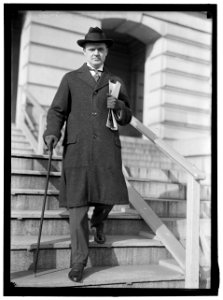 MALLONE, DUDLEY FIELD. 3RD ASSISTANT SECRETARY OF STATE, 1913 LCCN2016865054