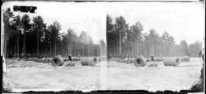 Making gabions, Petersburg, Va - NARA - 528205