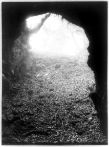 Mammoth Cave, Ky.-looking backward - Miss Johnston. LCCN89709299