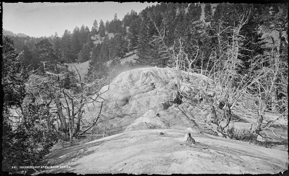 Mammoth Hot Springs, Glen Spring. Yellowstone National Park - NARA - 517170