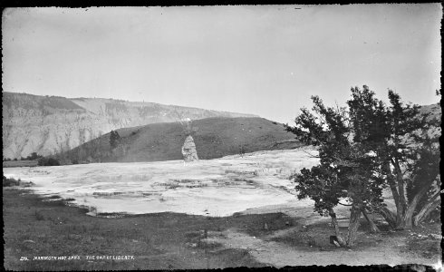 Mammoth Hot Springs, the Cap of Liberty. Yellowstone National Park. - NARA - 517173