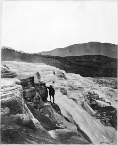 Mammoth Hot Springs, view along side of Jupiter Terrace. Thomas Moran in picture. Yellowstone. - NARA - 517643