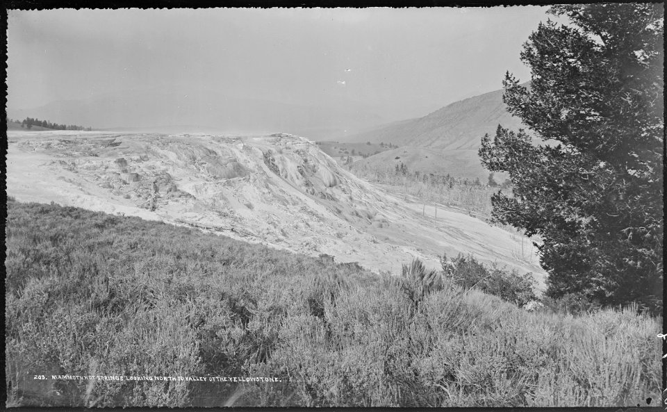 Mammoth Hot Springs, looking north to the valley of the Yellowstone. Yellowstone National Park. - NARA - 517196