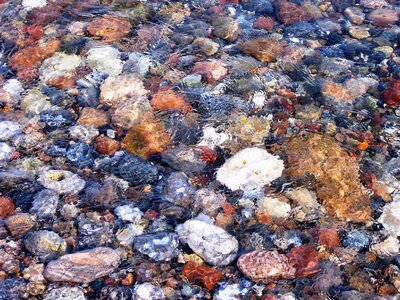 Sea pebble bank