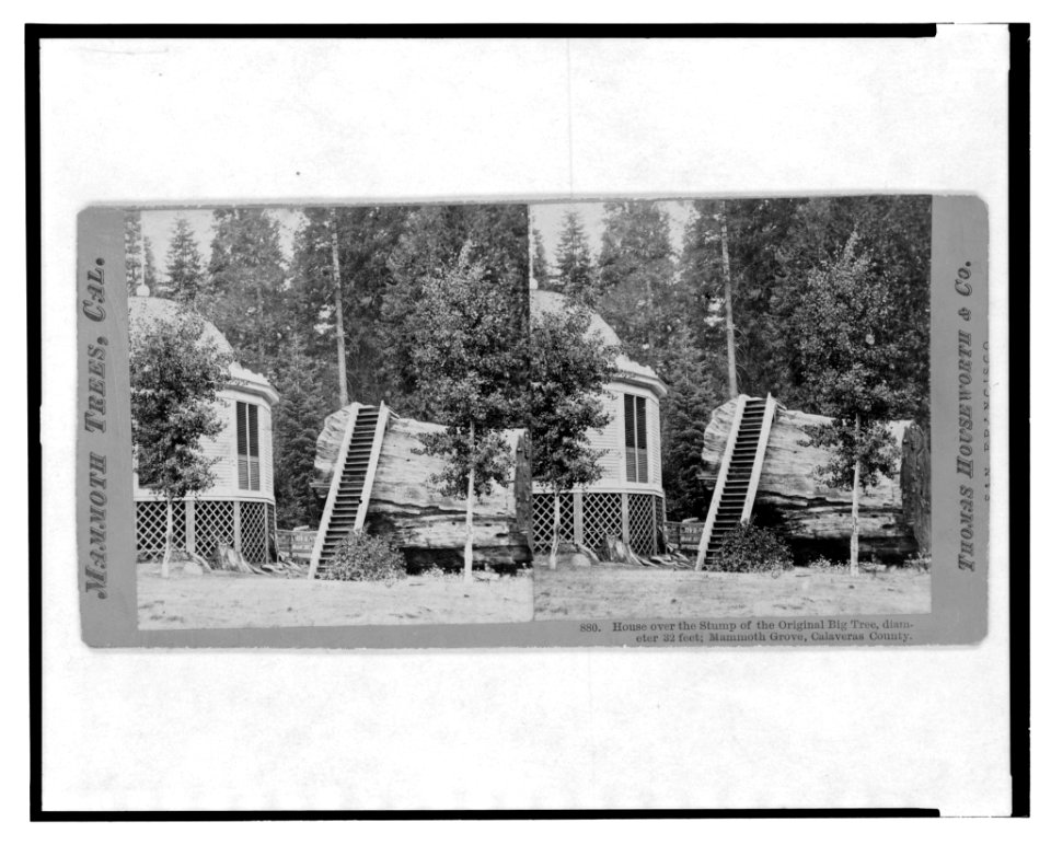 Mammoth trees, Cal. House over the stump of the original big tree, diameter 32 feet, Mammoth Grove, Calaveras Co. LCCN2003653097