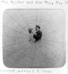 Man and woman in middle of spider web to illustrate the popular song, The Spider and the Fly LCCN2003669998