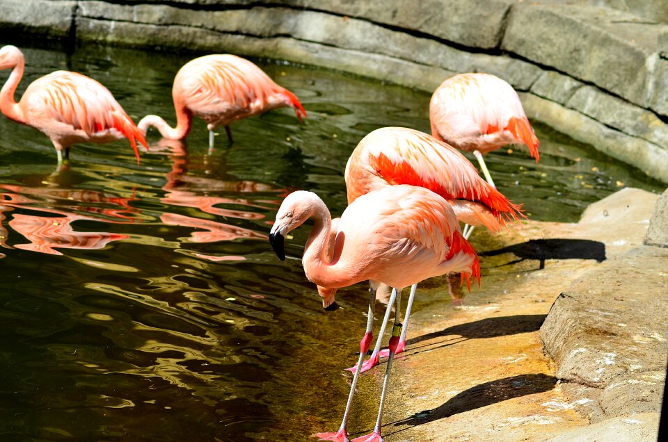Nature zoo water