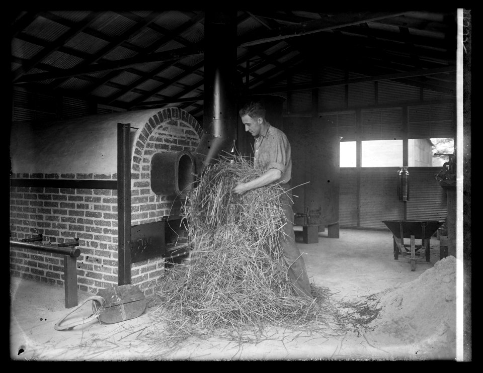 Man handling hay in industrial building LCCN2016852246