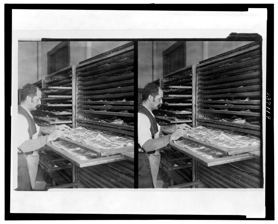 Man checking drying tray at U.S. Bureau of Engraving and Printing LCCN2006692624