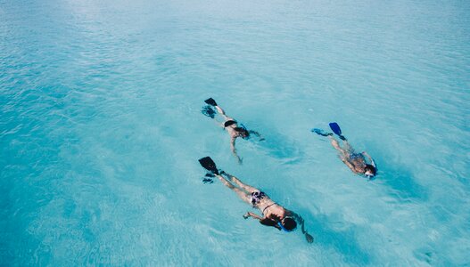 People girls swimming