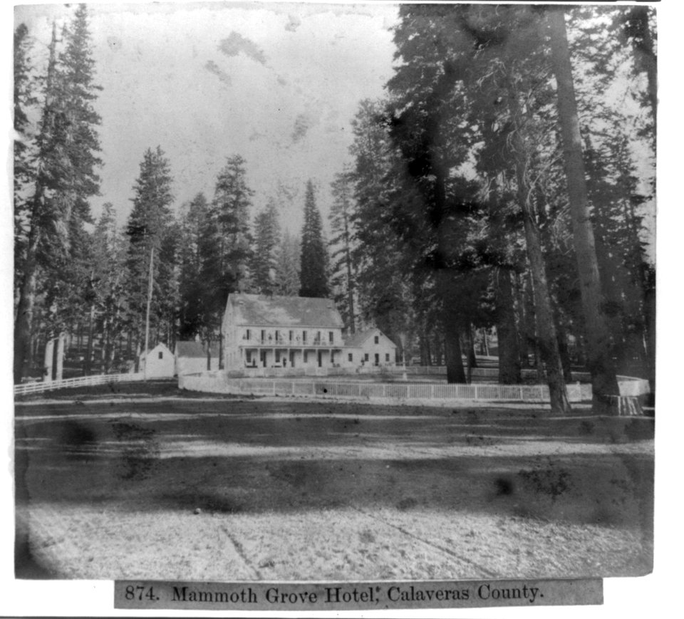 Mammoth Grove Hotel, Calaveras County LCCN2002720105