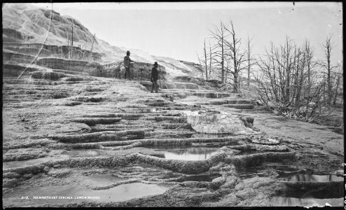 Mammoth Hot Springs, lower basins. Yellowstone National Park. - NARA - 517179