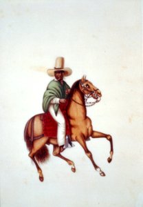 Man on horseback, Peru LCCN00651694