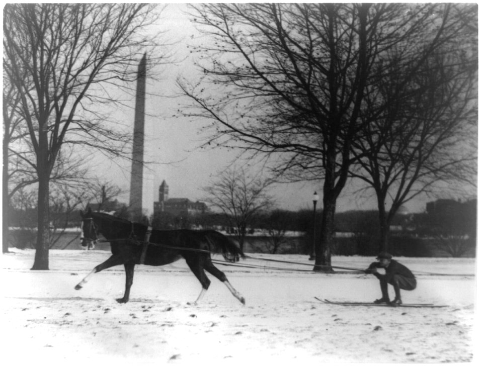 Man on skis being pulled by horse, with Washington Monument in background LCCN93515733