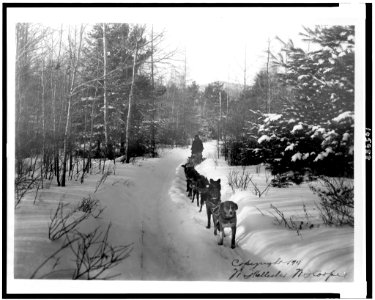 Man travelling by dogsled, Alaska LCCN92514881