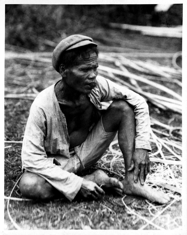 Man tuggar tobak. Kecamatan Lamala, Kabupaten Banggai, Sulawesi, Banggaai. Indonesien - SMVK - 000212