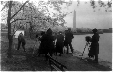 Man with easel and group of photographers at the Tidal Basin facing the Washington Monument in the background, with cherry trees in blossom, Washington, D.C. LCCN89709431