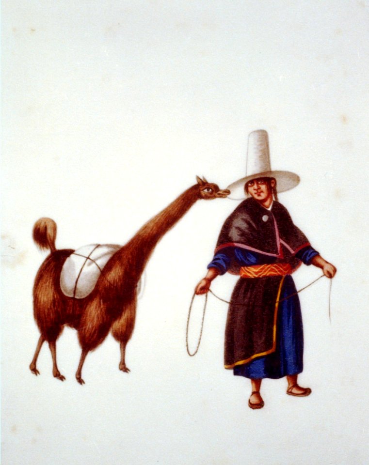 Man with llama, Peru LCCN00651696