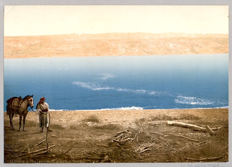 Man with horse standing near the Dead Sea LCCN2003653100