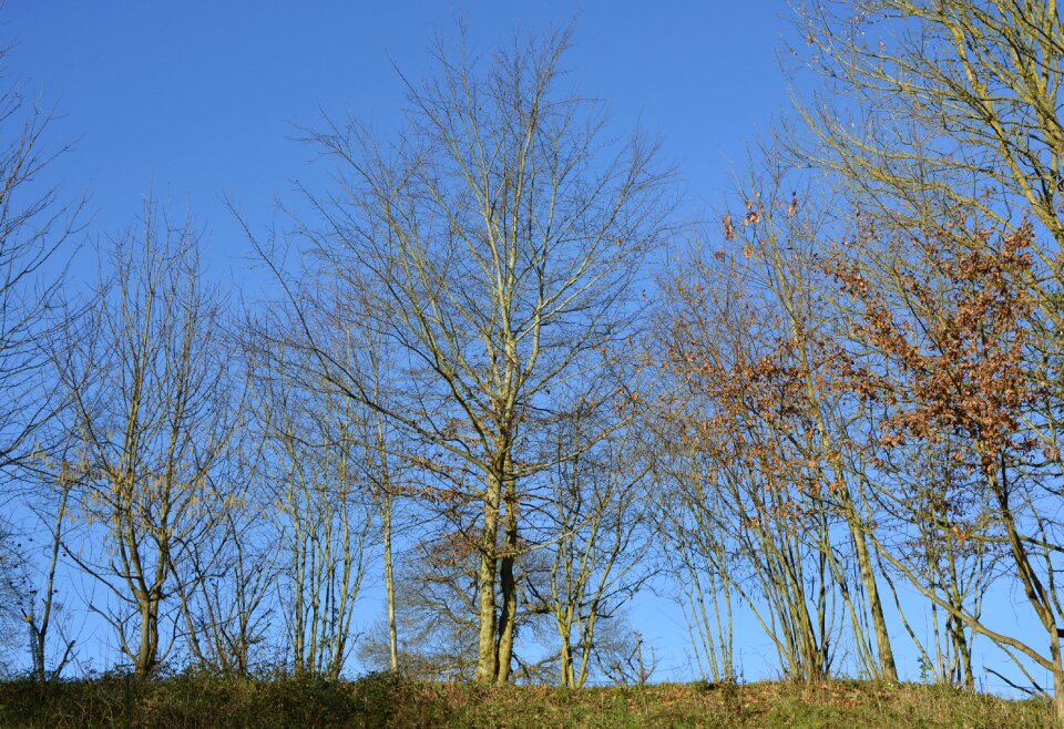 Nature winter landscape panoramic views photo