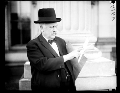 Man; U.S. Capitol, Washington, D.C. LCCN2016891236