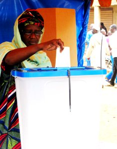 Mali Election 2013 (14408045071)