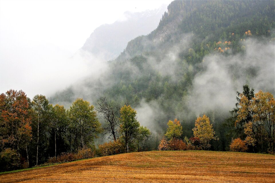 Haze color seasons of the year