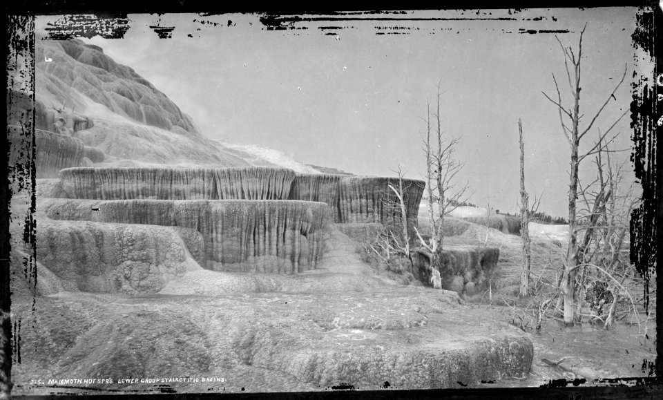 Mammoth Hot Springs, lower group of stalactitic basins. Yellowstone National Park. - NARA - 517182