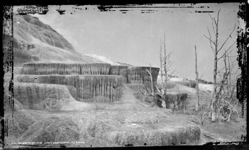 Mammoth Hot Springs, lower group of stalactitic basins. Yellowstone National Park. - NARA - 517182 photo