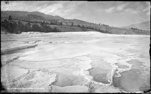 Mammoth Hot Springs, summit of terrace. Yellowstone National Park. - NARA - 517175 photo