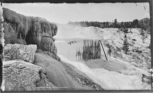 Mammoth Hot Springs. The Frozen Waterfall. Yellowstone National Park. - NARA - 516970