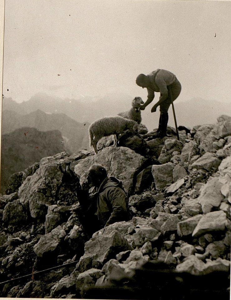 Manhart ¤ 2678. Alpiner Referent der 59.Geb.Brig. Dr.Kugy. (BildID 15801706)