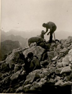 Manhart ¤ 2678. Alpiner Referent der 59.Geb.Brig. Dr.Kugy. (BildID 15801706)