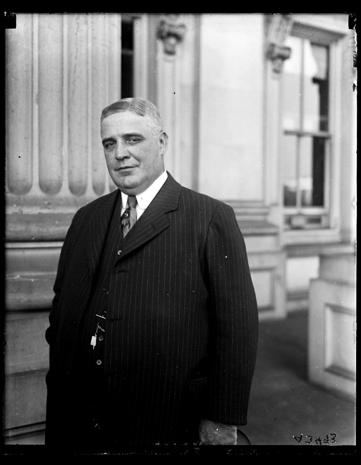 Man at U.S. Capitol, Washington, D.C. LCCN2016890797